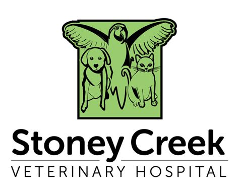 Stoney creek vet - Trusted and Amazing Pet Care. Stoney Creek Veterinary Hospital. Book a Service